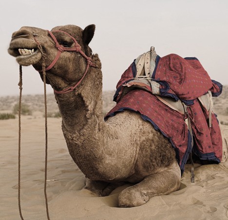 Getting Over the Hump