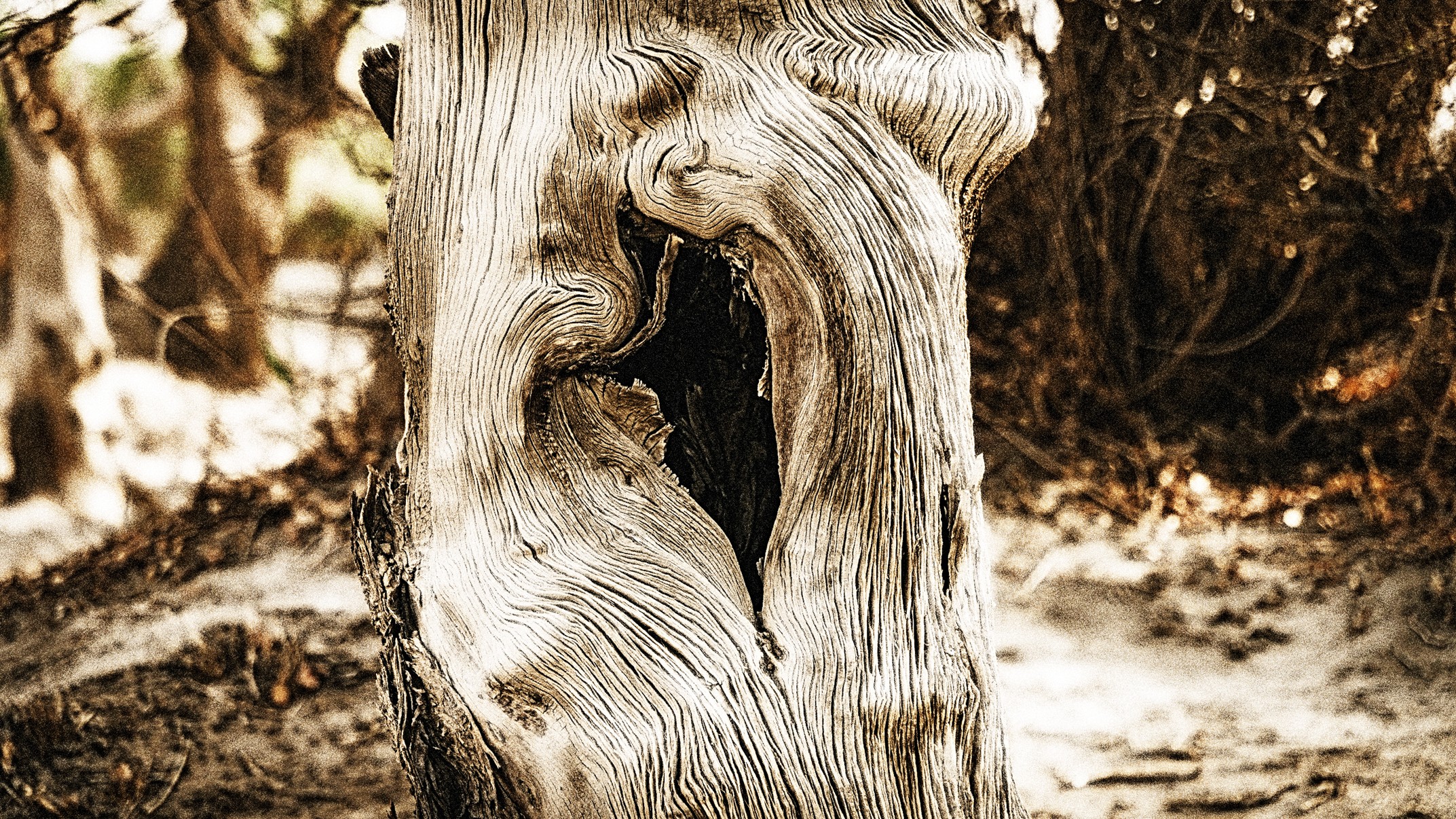 “The Impossible Dream”